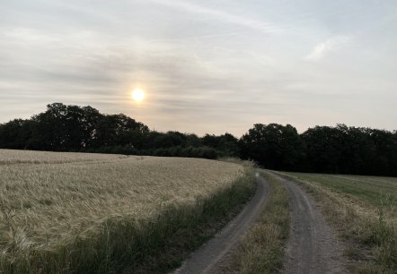 Wanderweg Olmscheid 2, © Ingo Kleis