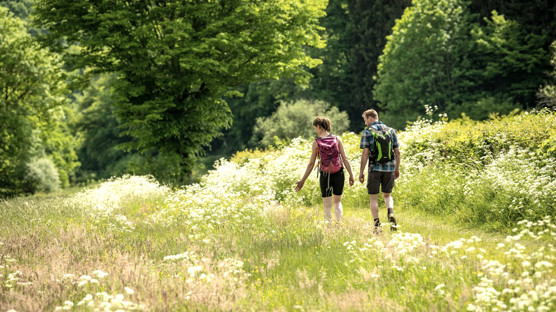 Wanderer, © Eifel Tourismus GmbH, Dominik Ketz