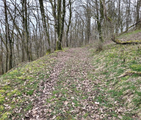 Wanderweg auf dem Eichelsberg bei der Mariensäule, © Tourist-Information Islek