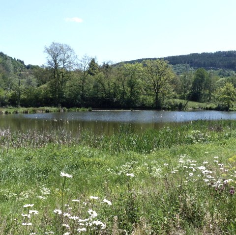 GPS-Tour, Stausee Irsental, © Tourist-Information Islek, Ingrid Wirtzfeld