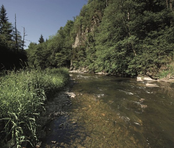 die Our im Sonnenschein, © ZV Naturpark Südeifel, Raymond Clement