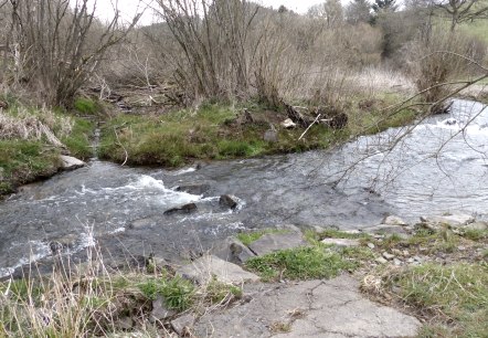 Irsen bei der Harspelter Mühle, © Tourist-Information Islek