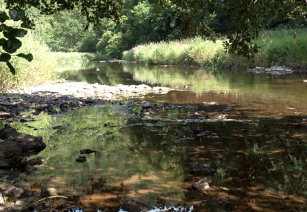 Die Prüm bei Waxweiler, © V. Teuschler