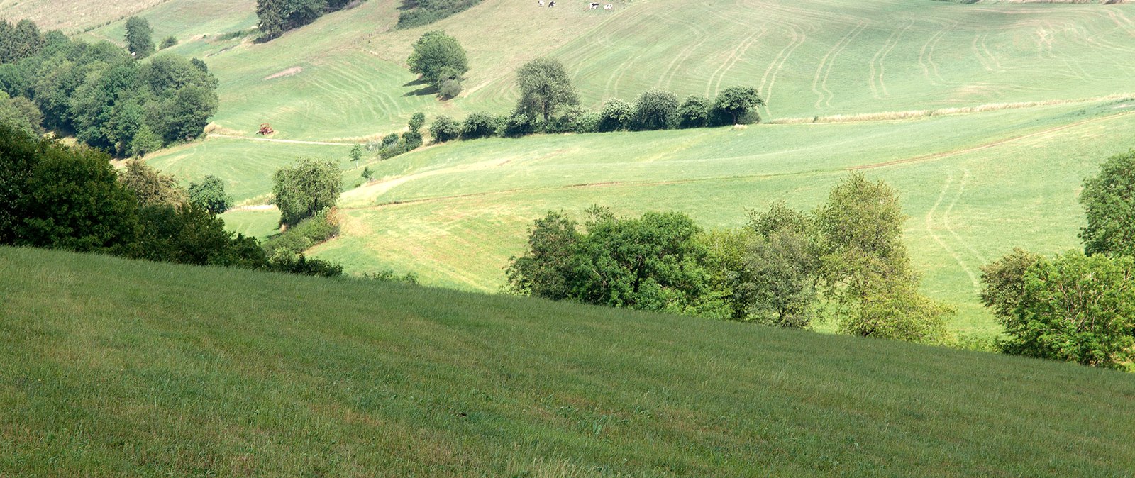 Eifelhöhen bei Plütscheid, © Volker Teuschler