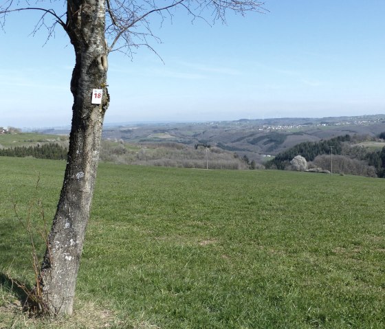 Schöner Höhenblick vom Wanderweg Nr. 18, © Tourist-Information Islek