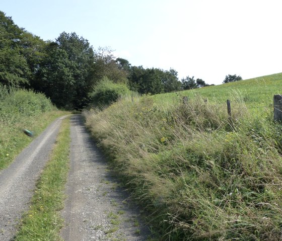 Feldweg, © Tourist-Information Islek