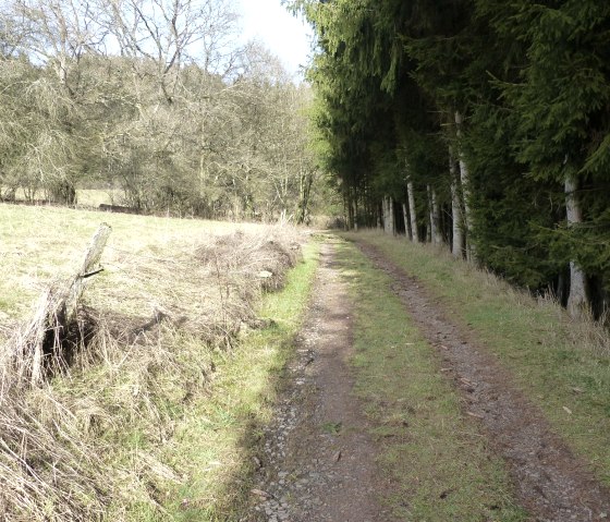 Auf dem Devon-Pfad, © Tourist-Information Islek, Ingrid Wirtzfeld