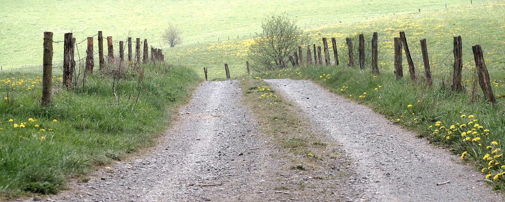 Feldweg bei Eschfeld