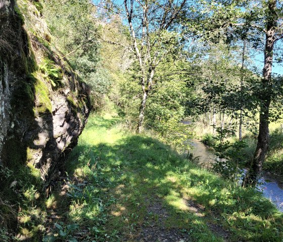 Schieferfelsen entlang der Irsen, © Tourist-Information Islek