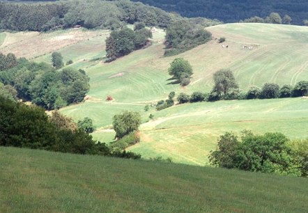 Eifelhöhen bei Plütscheid, © V. Teuschler