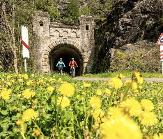 Enz-Radweg, alter Bahntunnel bei  Neuerburg, © Eifel Tourismus GmbH, Dominik Ketz