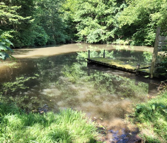 Weiher am Wanderweg, © Tourist-Information Islek