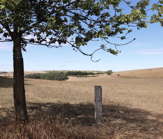 Wanderweg bei Plütscheid, © Tourist-Information Islek