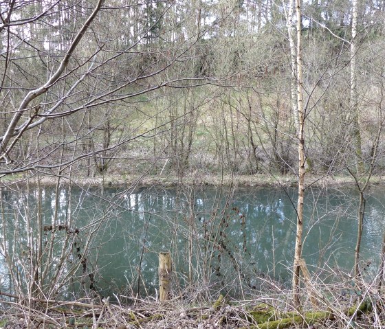 Fischweiher am Weg, © Tourist-Information Islek