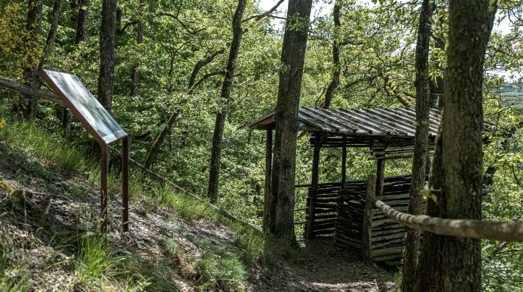 Königslay, © Eifel Tourismus GmbH, Dominik Ketz