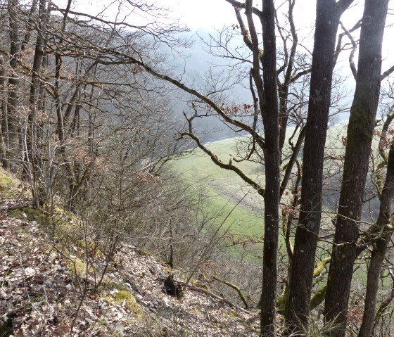 Blick ins Prümtal bei Mauel, © Tourist-Information Islek