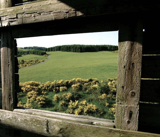 Dreiborner Hochfläche, © Gemeinde Simmerath