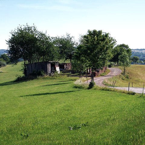 Höhe bei Krautscheid, © C. Kempe