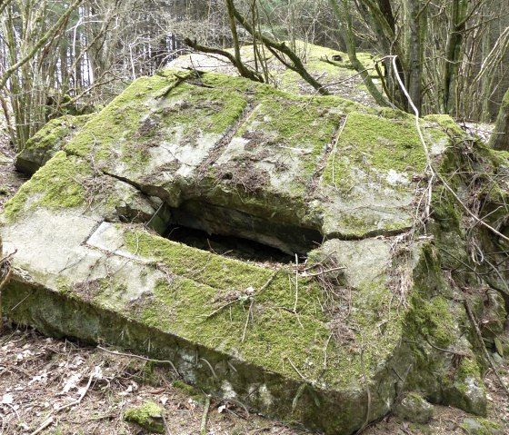 Ruine eines Westwall-Bunkers, © Tourist-Information Islek
