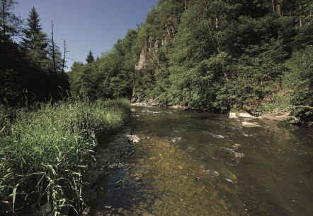 die Our im Sonnenschein, © ZV Naturpark Südeifel, Raymond Clement