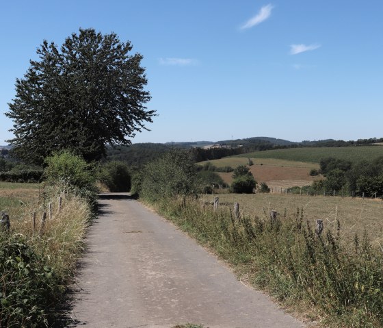 Wanderweg Nr. 14 ins Tal bei Jucken, © Tourist-Info Islek