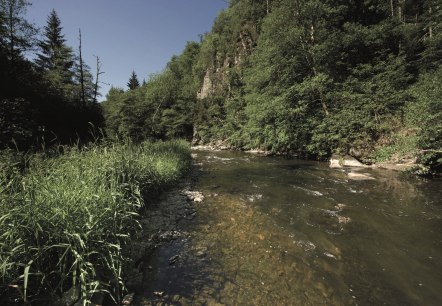 Die Our im Mittleren Ourtal, © Naturpark Südeifel, R. Clement