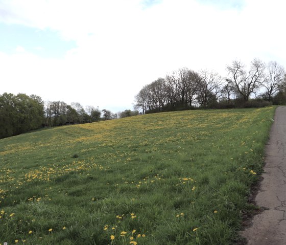 Feldweg nach Lauperath, © Tourist-Information Islek