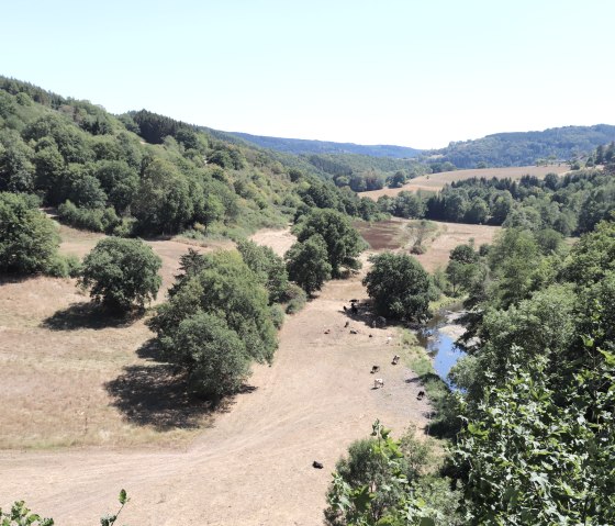 Ausblick von der Aussichtskanzel über das Prümtal, © Tourist-Information Islek