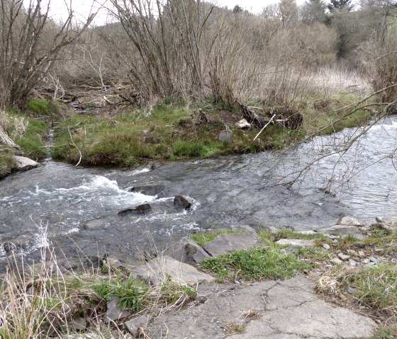 Irsen bei der Harspelter Mühle, © Tourist-Information Islek