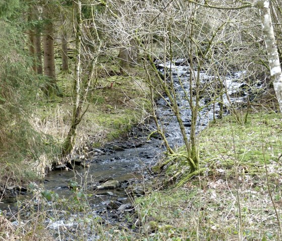 Idyllischer Dierbach, © Tourist-Information Islek, Ingrid Wirtzfeld