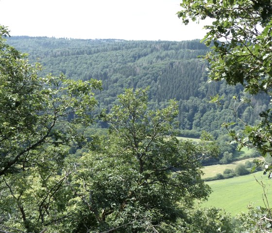 Prümtalblick vom Wanderweg Nr. 19, © Tourist-Info Islek