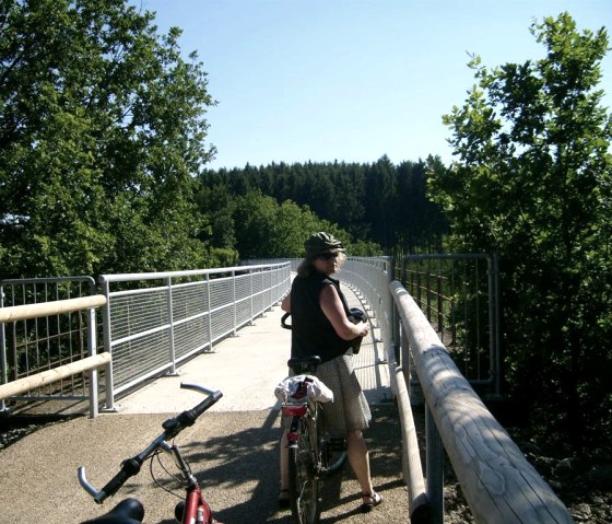 Auf dem Enztal-Radweg, © Ludwig Kribs