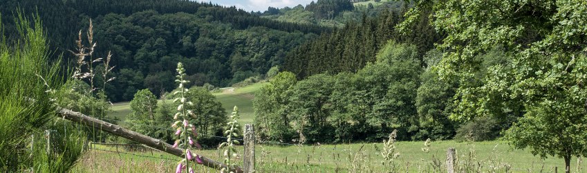 Wanderwege im Naturpark Südeifel, © CUBE Volker Teuschler