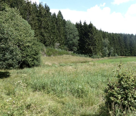 Wanderweg bei der Lützkämper Mühle