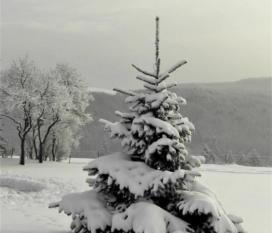 Winter vor der Tür