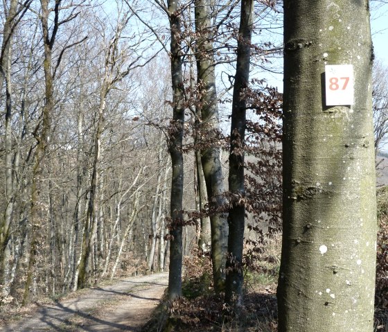 Teilstück Wanderweg Nr. 87, © Tourist-Info Islek