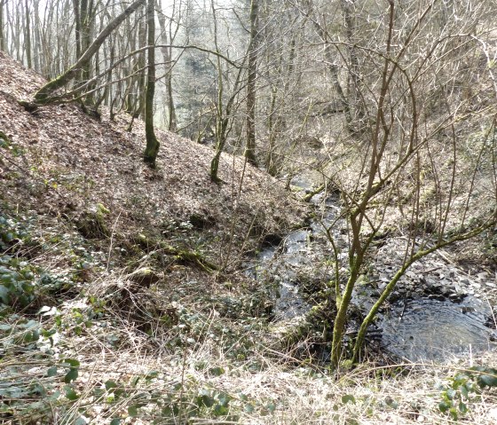 Bachlauf am Weg, © Tourist-Information Islek