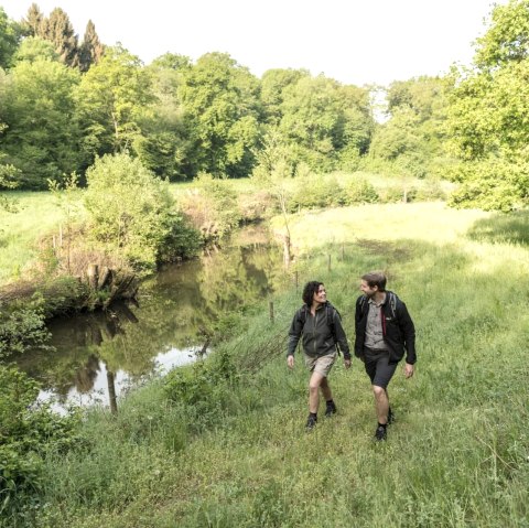 Wandern durch Wälder und Wiesen, © Eifel Tourismus GmbH, D. Ketz