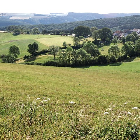 Blick auf Ringhuscheid, © C. Kempe