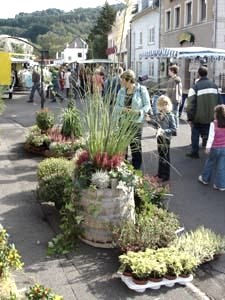 Bauernmarkt