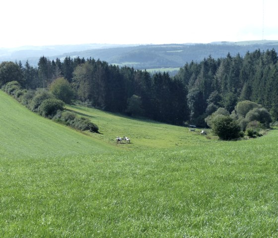 Weite Landschaft und Ausblick nach Luxemburg, © Tourist-Information Islek