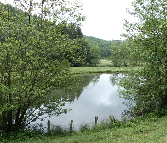 Angelweiher am Irsenpfad, © Tourist-Information Islek, Ingrid Wirtzfeld