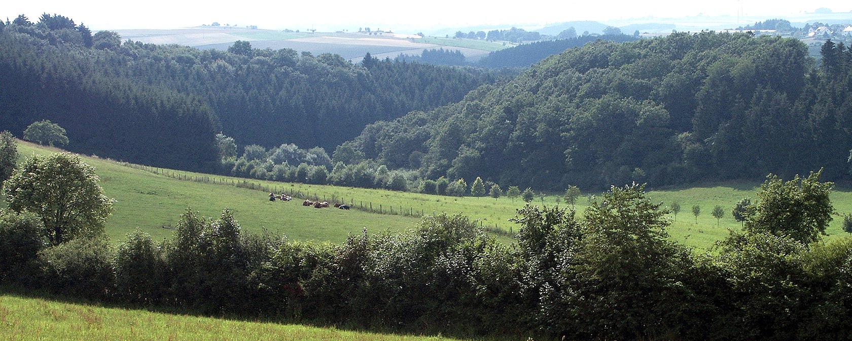 Blick auf Dahnen, © V. Teuschler