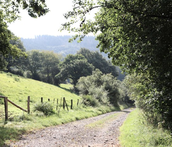 Nordic Walking Route, © Tourist-Information Islek