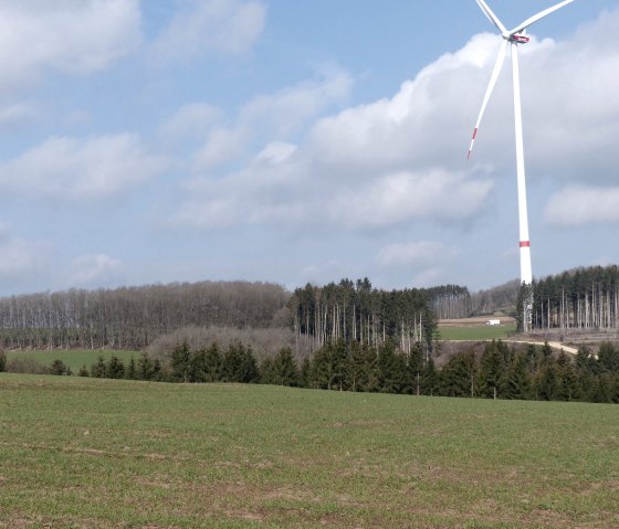 Fernblick Richtung Lichtenborn, © Tourist-Information Islek