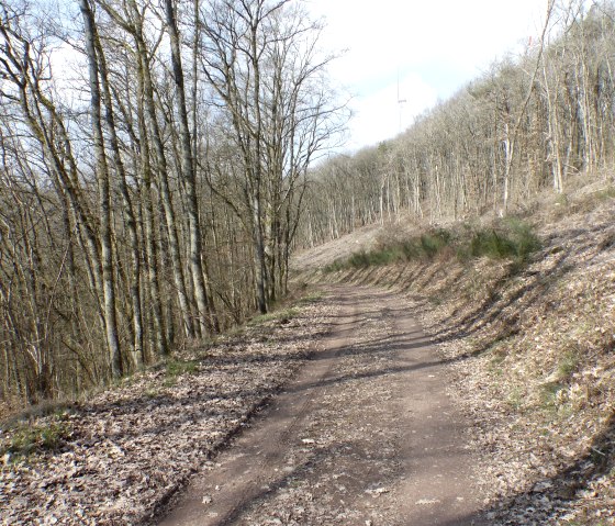 Idyllischer Waldweg, © Tourist-Information Islek