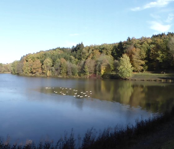 Arzfelder Stausee am Enz-Radweg, © Tourist-Information Islek, Ingrid Wirtzfeld