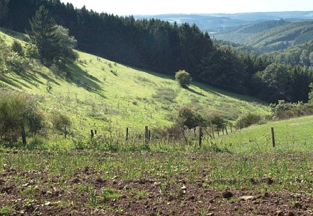 Blick ins Mühlbach-Tal, © Volker Teuschler