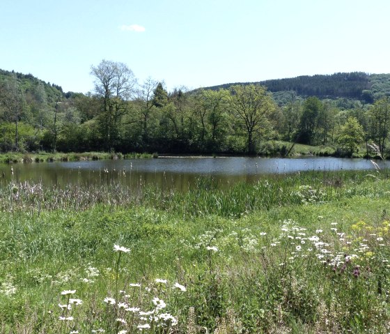 GPS-Tour, Stausee Irsental, © Tourist-Information Islek, Ingrid Wirtzfeld