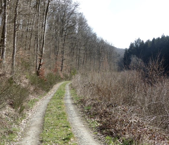 Wanderweg Nr. 2 und 4, © Tourist-Information Islek